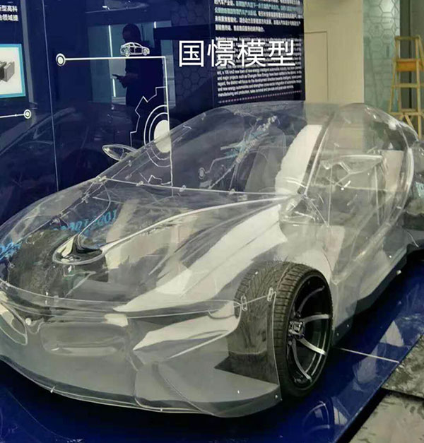 米脂县透明车模型